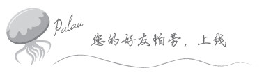 您的好友帕劳,上线 您的好友帕劳,上线