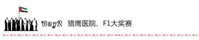 Day2 猎鹰医院、F1大奖赛 Day2 猎鹰医院、F1大奖赛