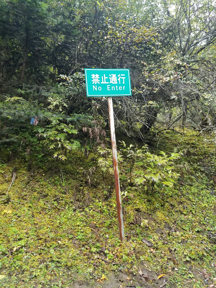 雨崩自助遊攻略