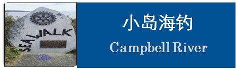 Campbell River海钓 Campbell River海钓