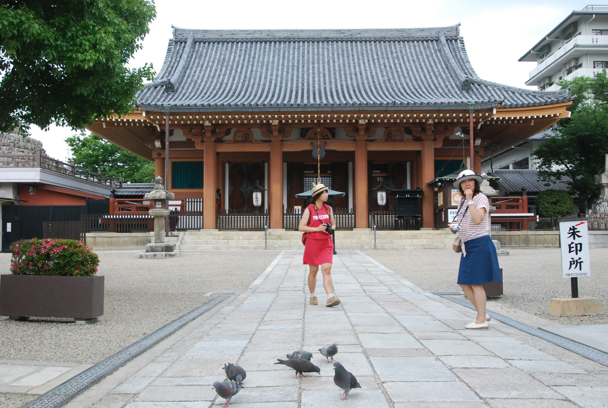 京都自助遊攻略