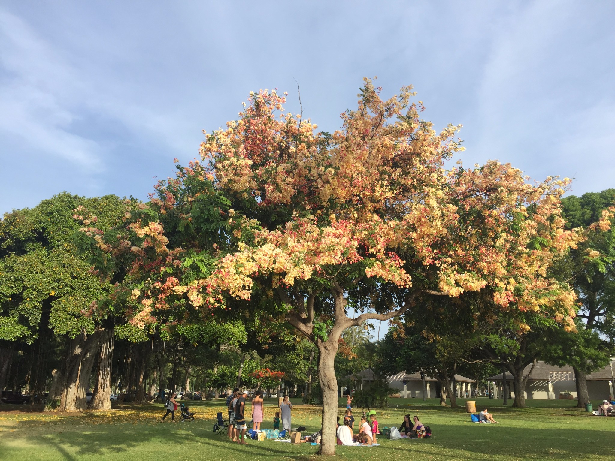 夏威夷自助遊攻略