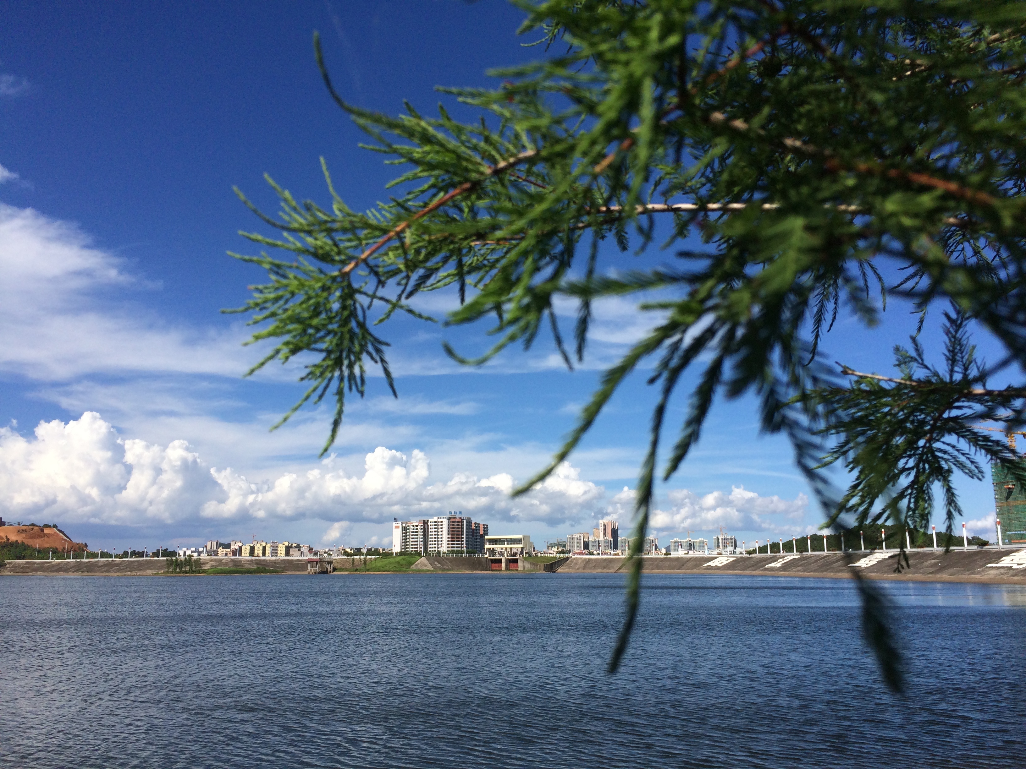 鸳鸯湖公园