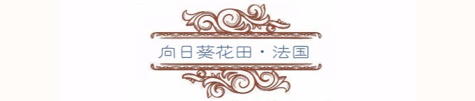向日葵花田 向日葵花田