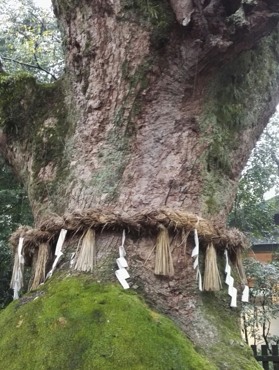 名古屋自助遊攻略