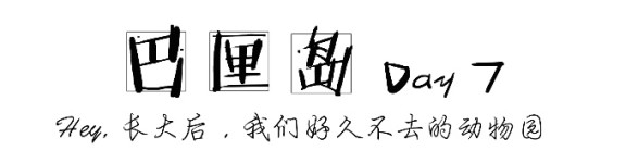 DAY7 巴厘岛|Hey, 长大后,我们好久不去的动物园 DAY7 巴厘岛|Hey, 长大后,我们好久不去的动物园