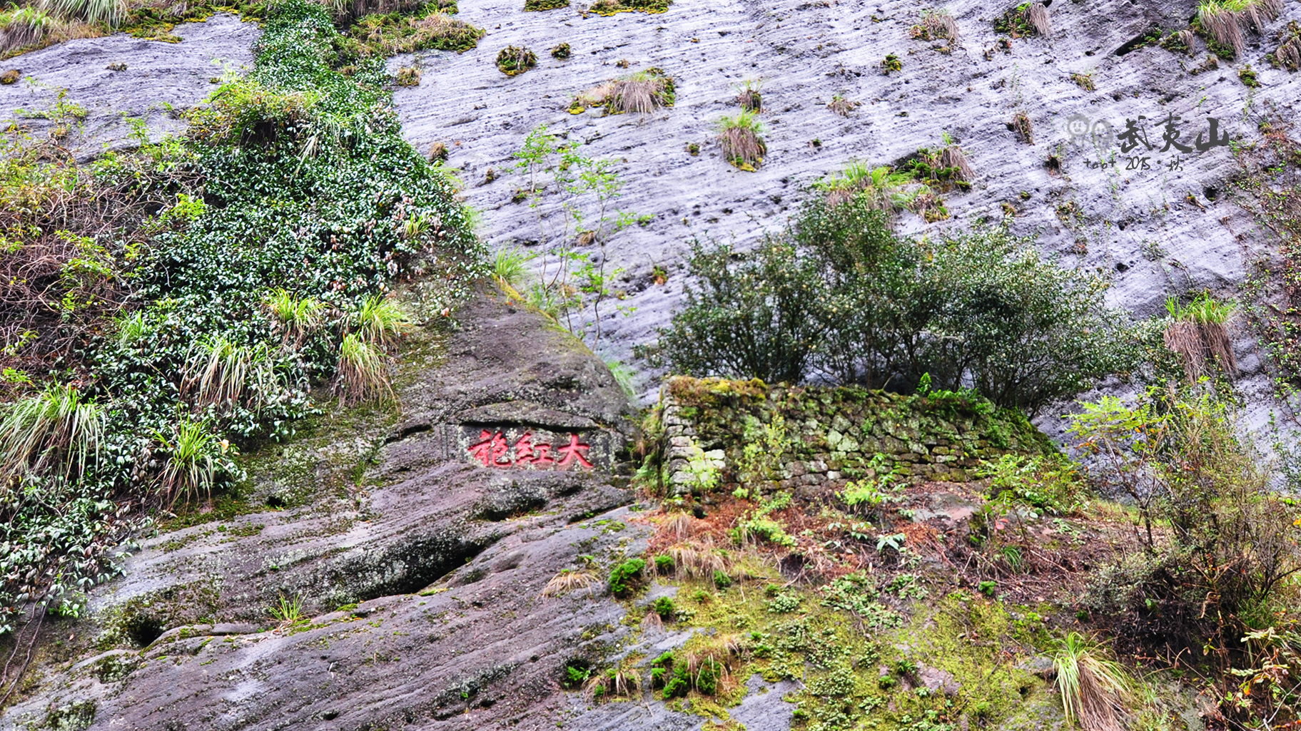 武夷山自助遊攻略