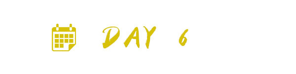 DAY 6 DAY 6