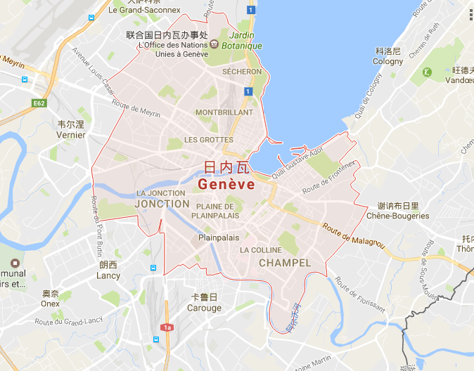 瑞士日内瓦机场接送机 中文服务专车接送 5座/7座/9座车