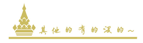 其他的有点没的~ 其他的有点没的~