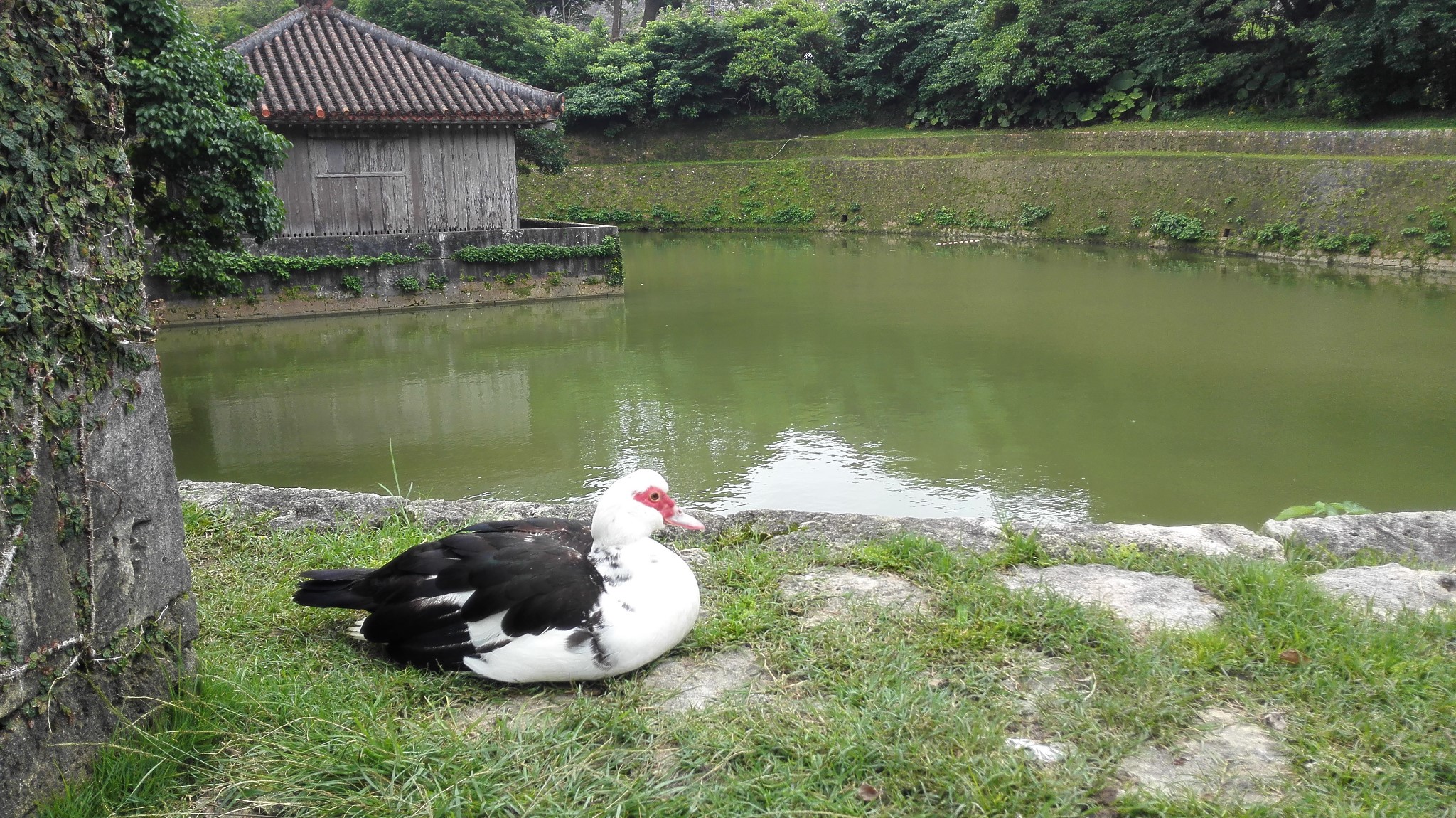 那霸自助遊攻略