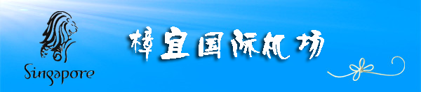 新加坡樟宜国际机场 新加坡樟宜国际机场