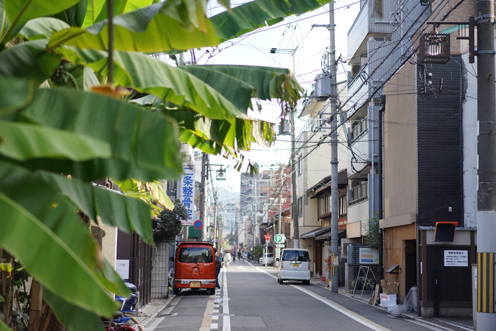 京都自助遊攻略