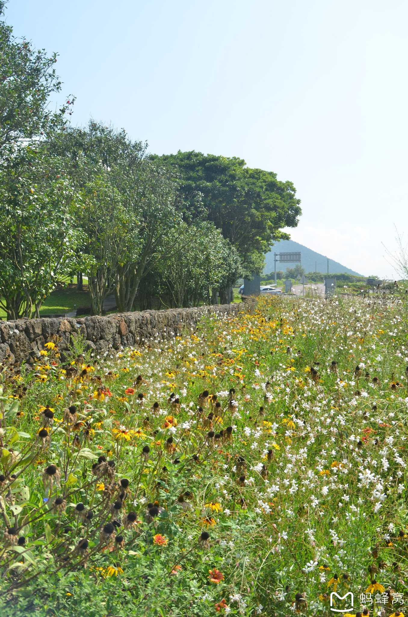 濟州島自助遊攻略