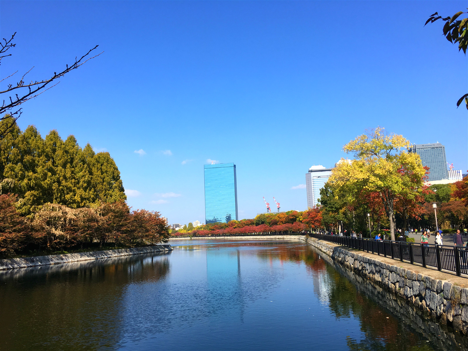 京都自助遊攻略