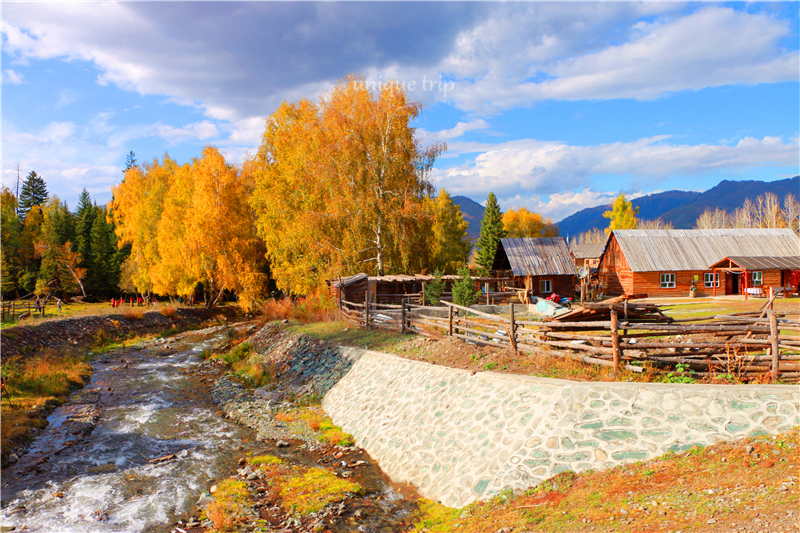 如诗如画的西北第一村—白哈巴,白哈巴旅游攻略 - 马蜂窝