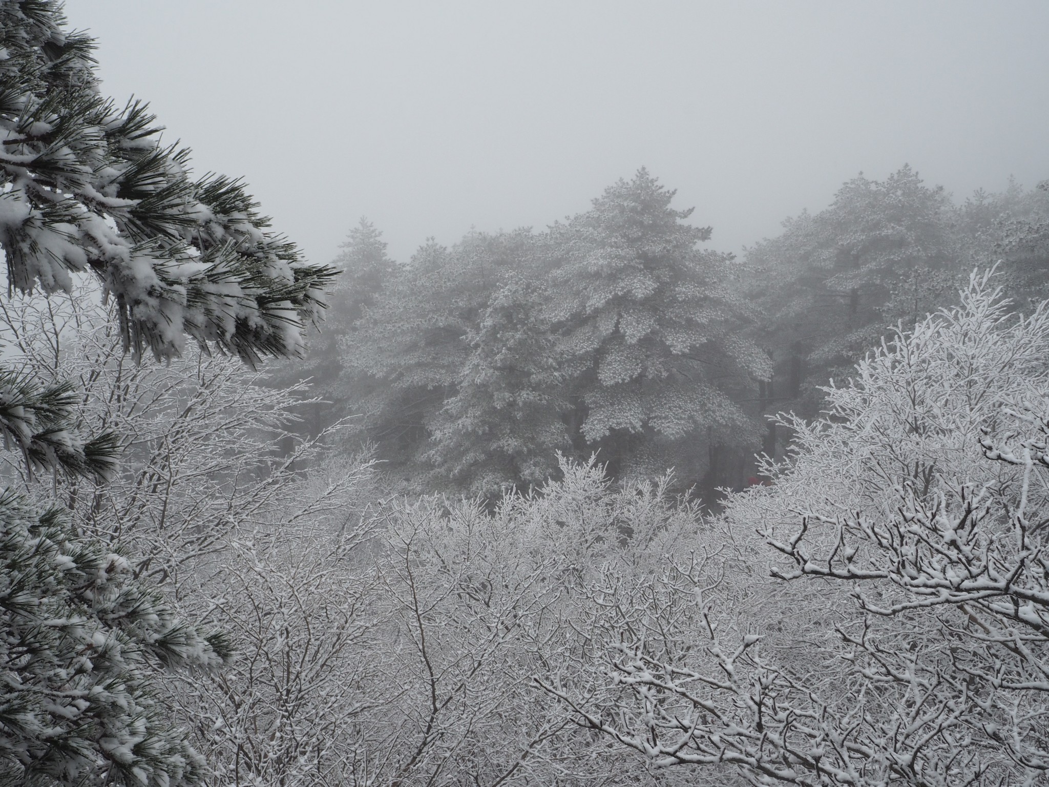 黃山自助遊攻略