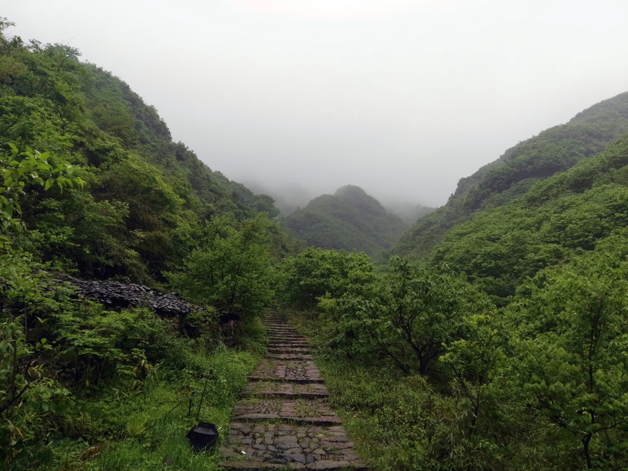 清泉汩汩,竹海漫山,绍兴上青古道徒步一日游