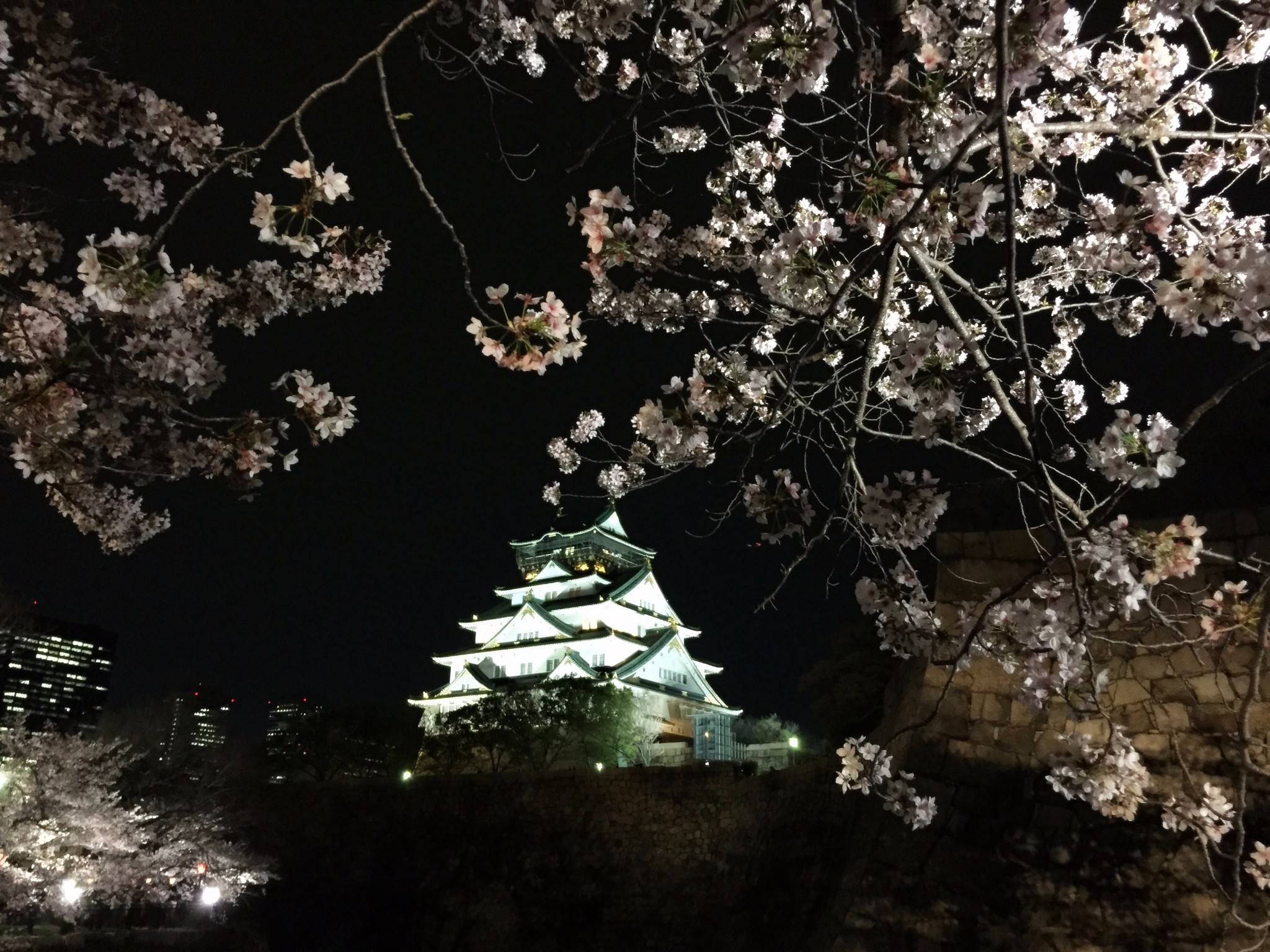 京都自助遊攻略