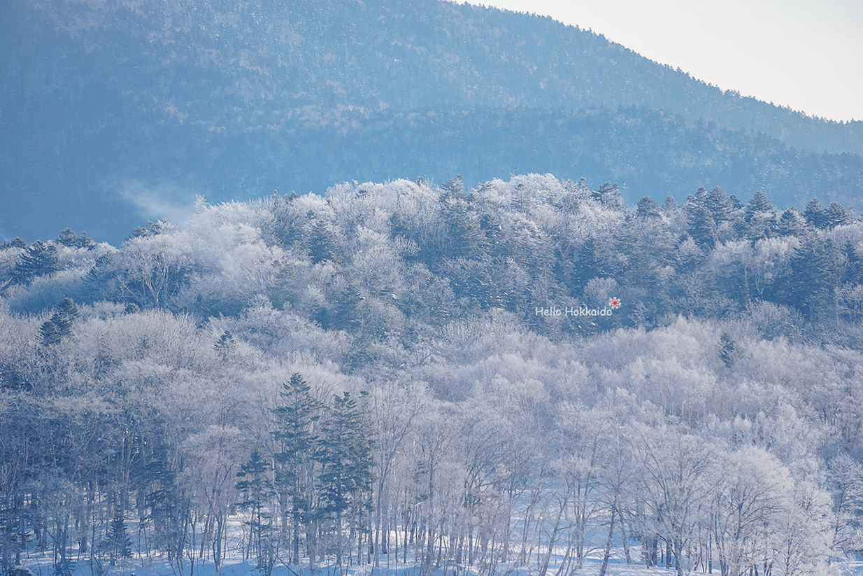 北海道自助遊攻略