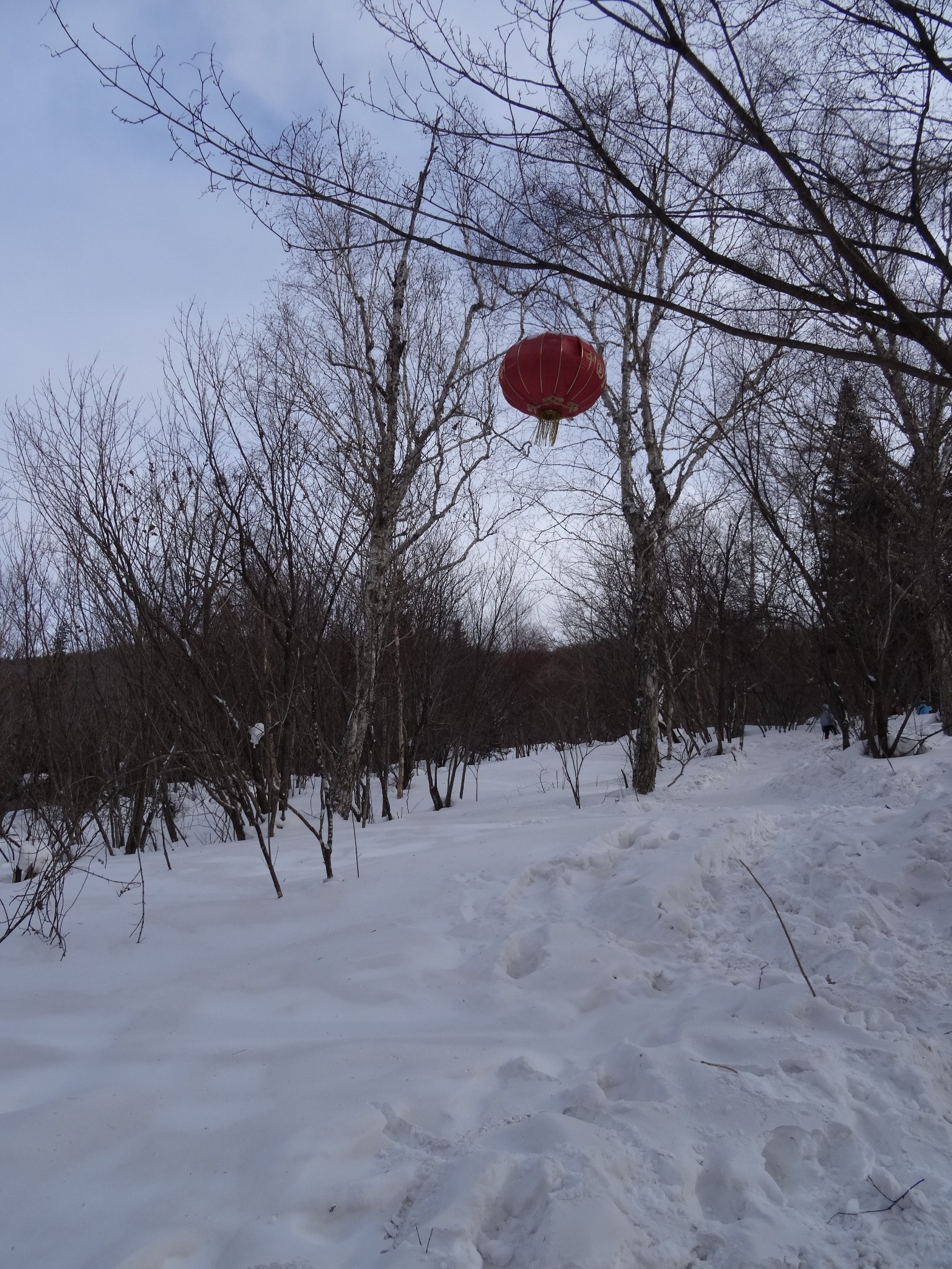 雪鄉自助遊攻略