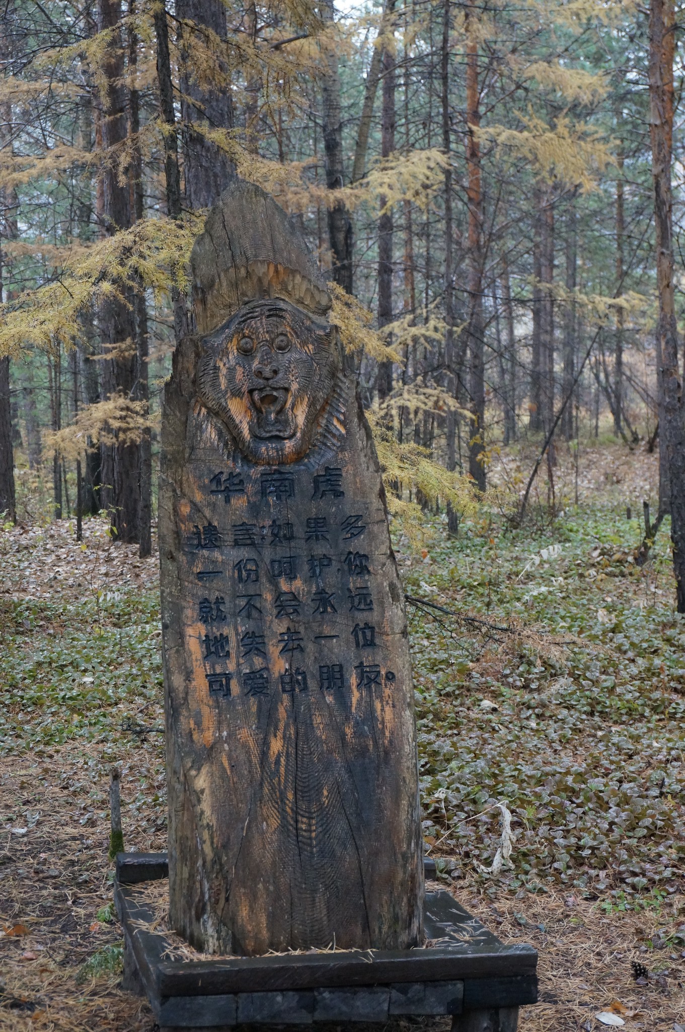 漠河自助遊攻略