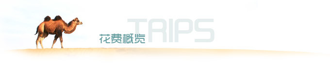 花费概览 花费概览