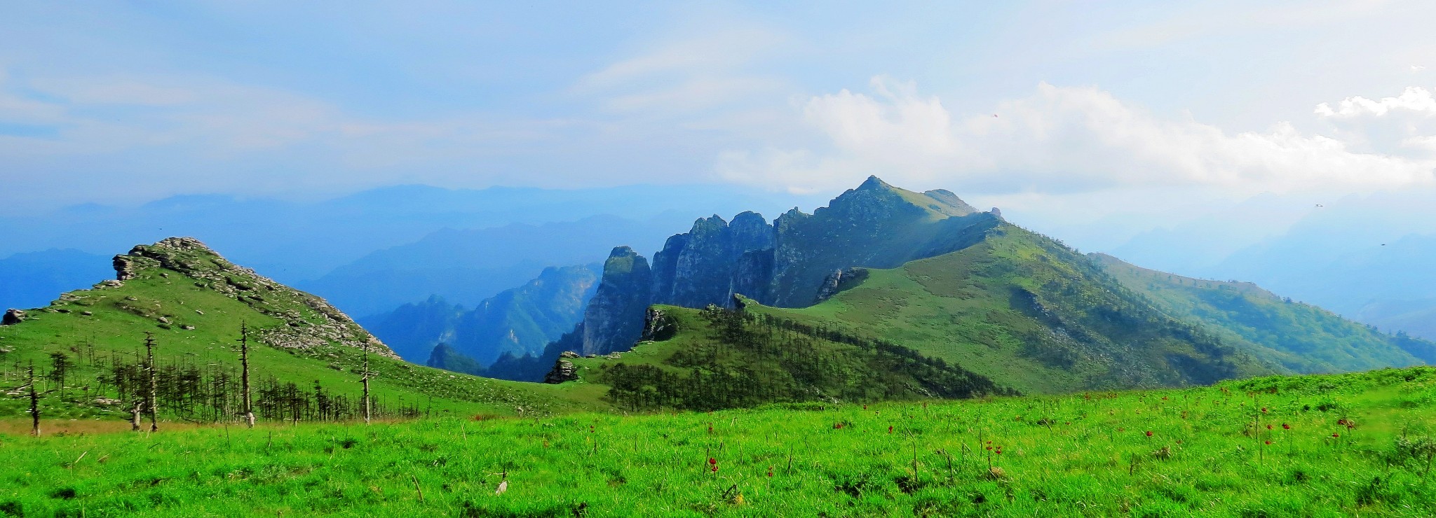 秦嶺旅遊攻略—鹿角梁——大秦嶺第一梁 最後一方淨土_遊記