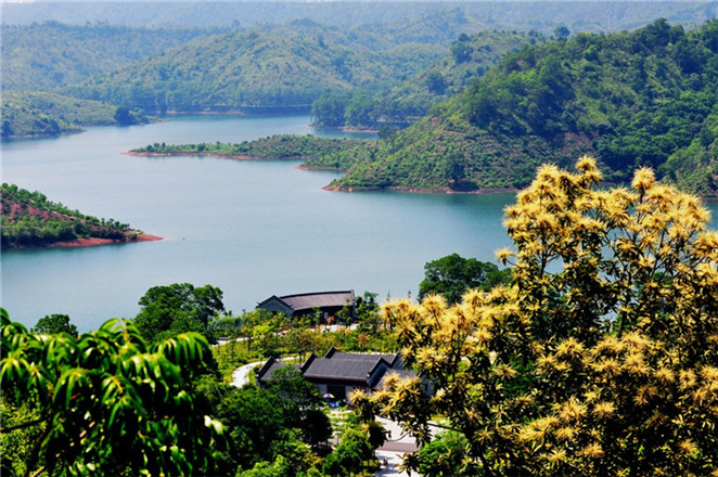 【广州出发】惠州红花湖环湖骑行 走进音乐之都奥地利小镇一日游