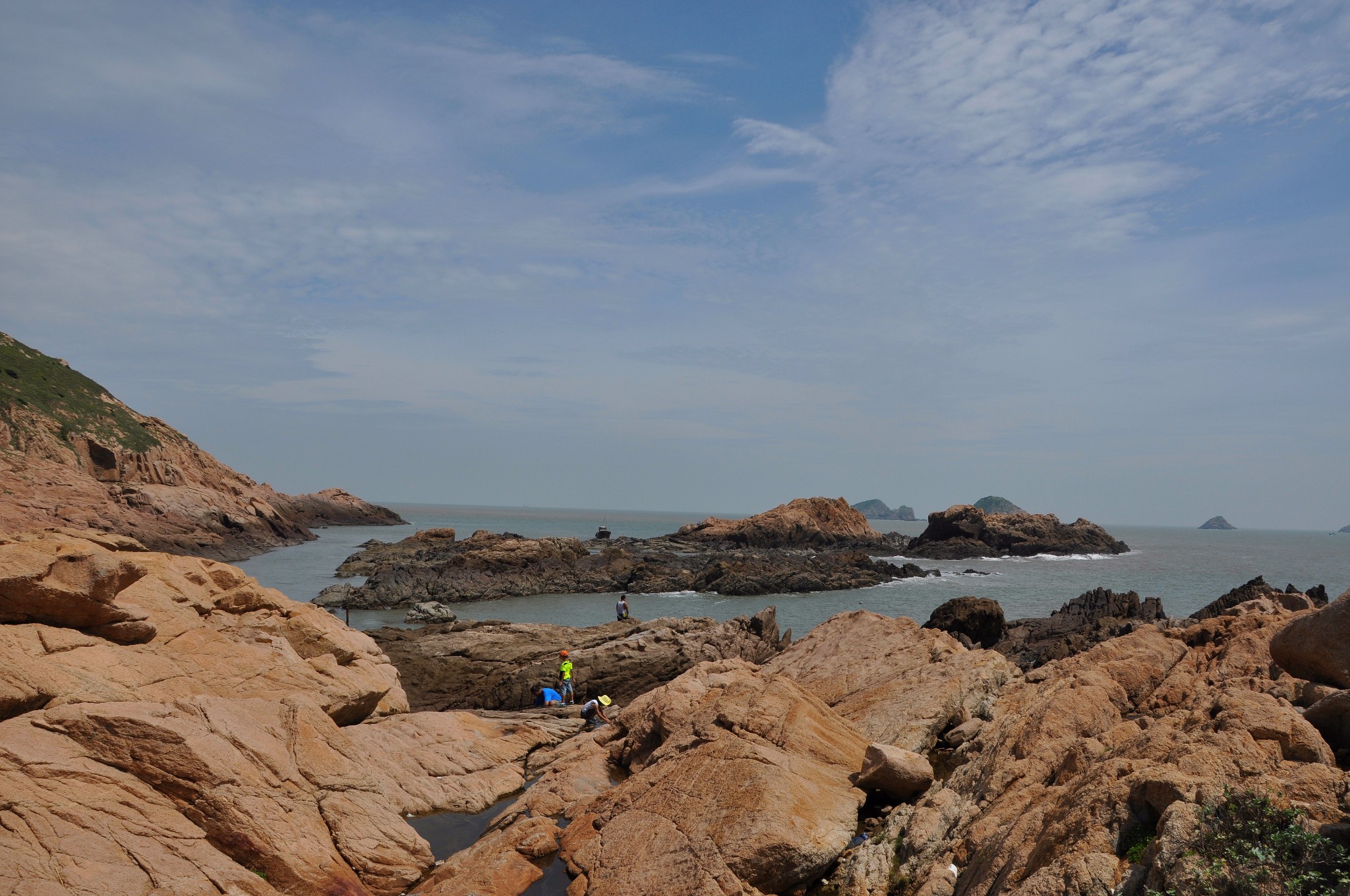 周末放飞 鸟岛洞头