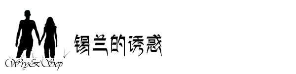 锡兰的诱惑 锡兰的诱惑
