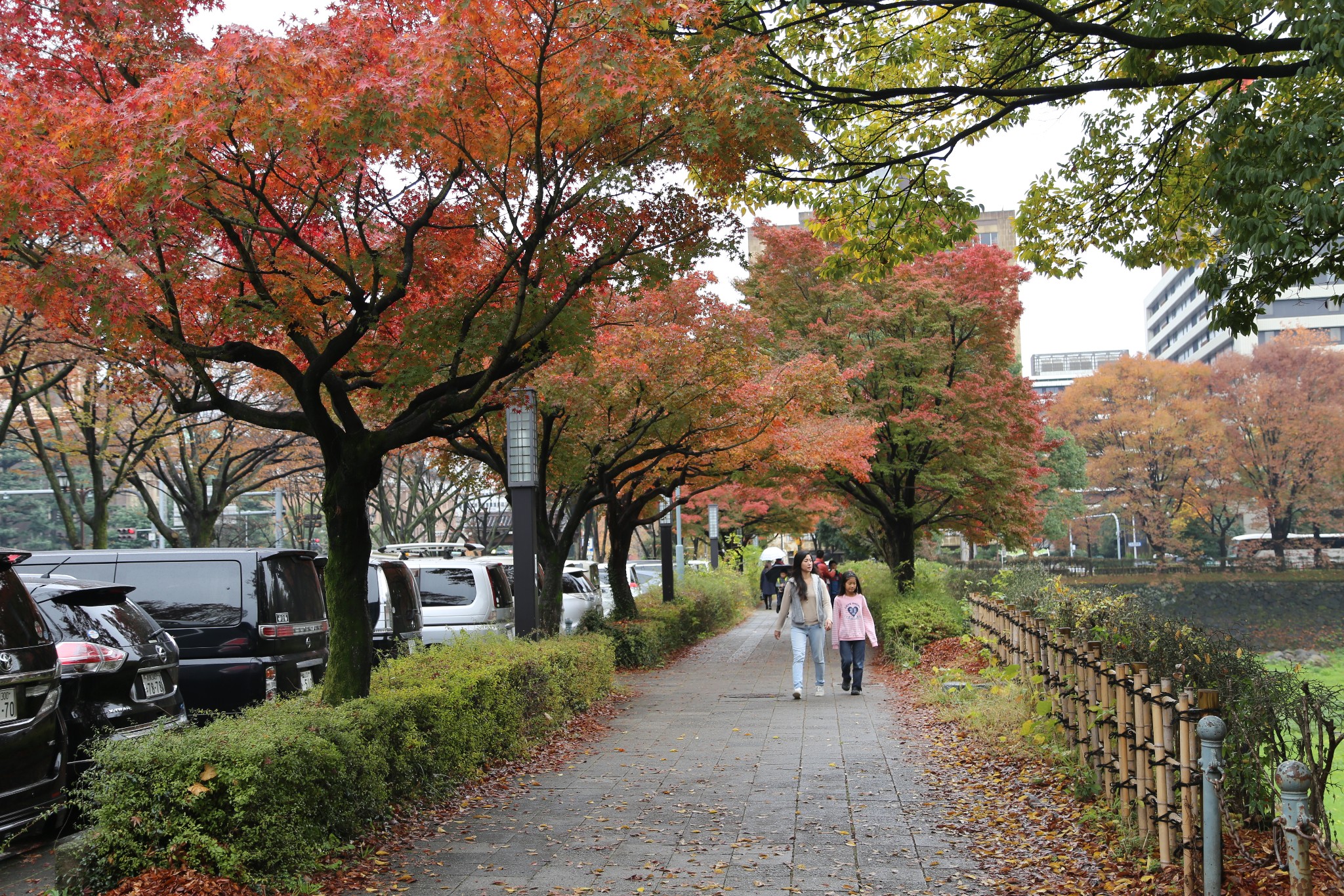 名古屋自助遊攻略