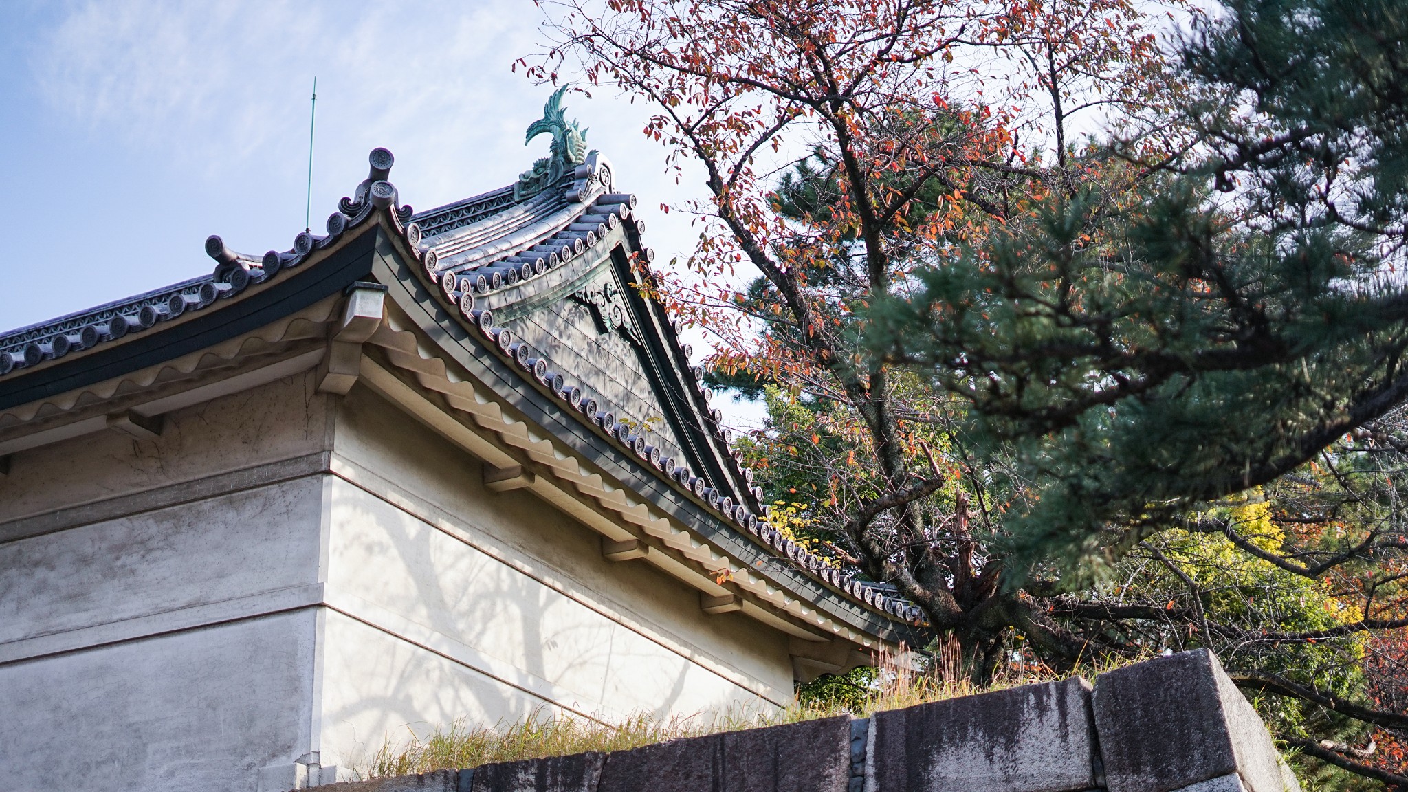 京都自助遊攻略