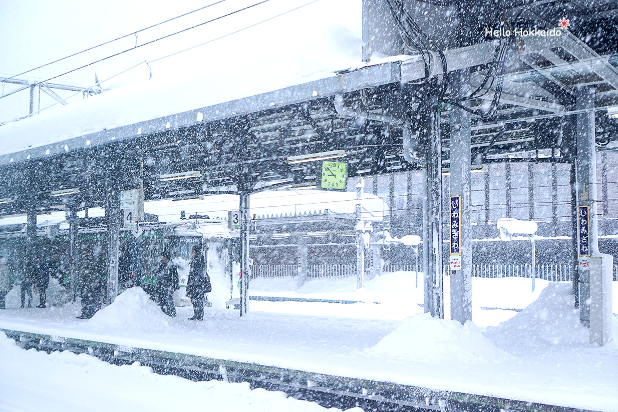 北海道自助遊攻略