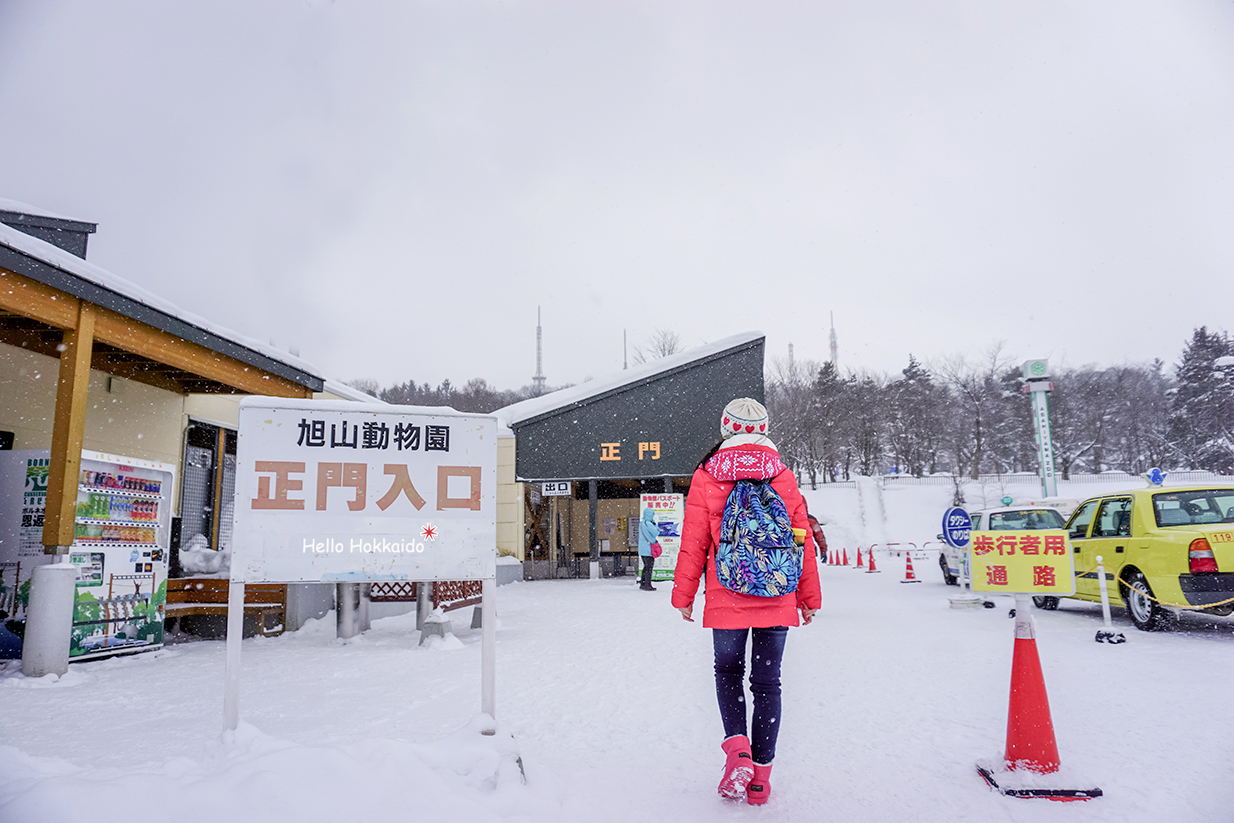 北海道自助遊攻略