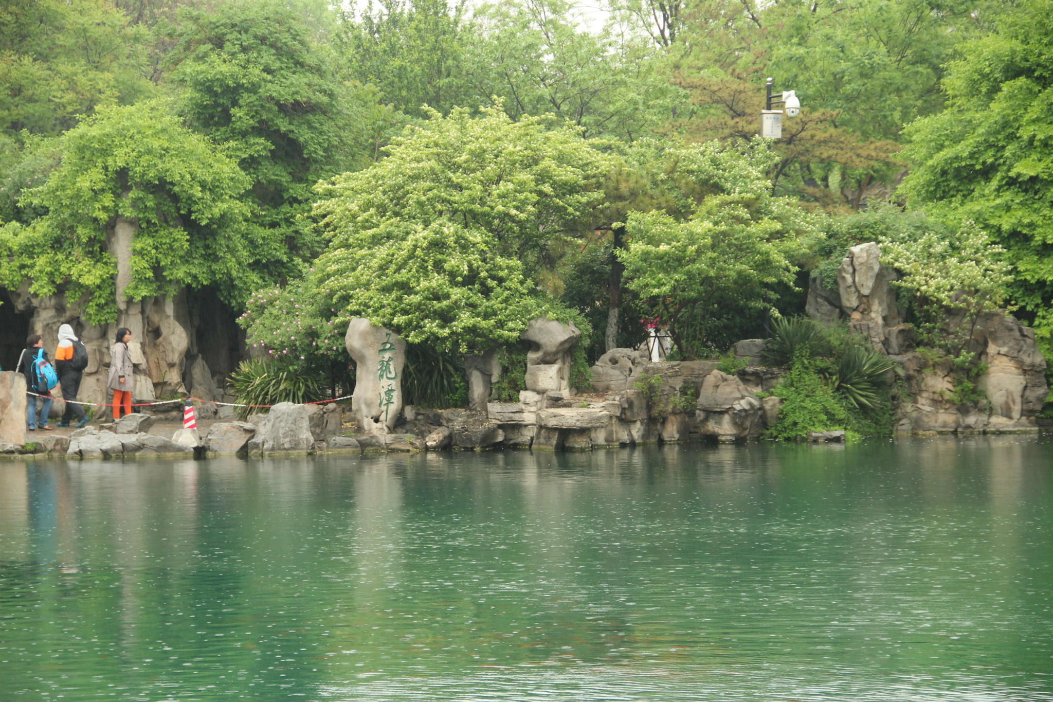 潭西人口_西条高人图片(3)