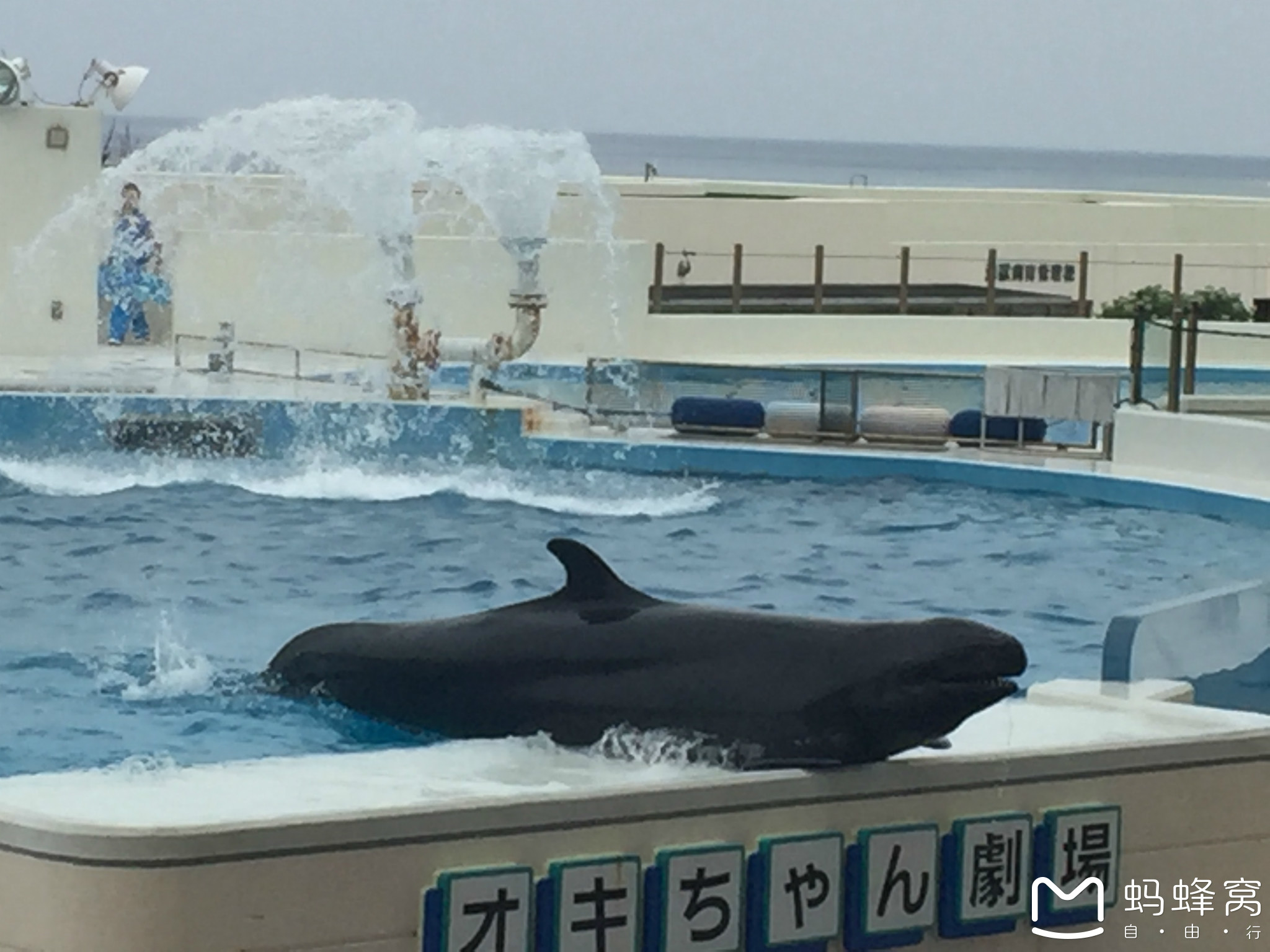 水族有多少人口_三月三 感受浓浓广西民族风 一