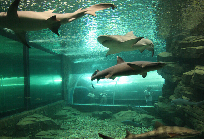 连云港 海州湾海洋乐园景点电子门票