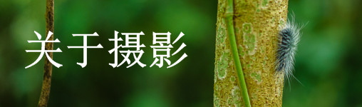 关于摄影 关于摄影