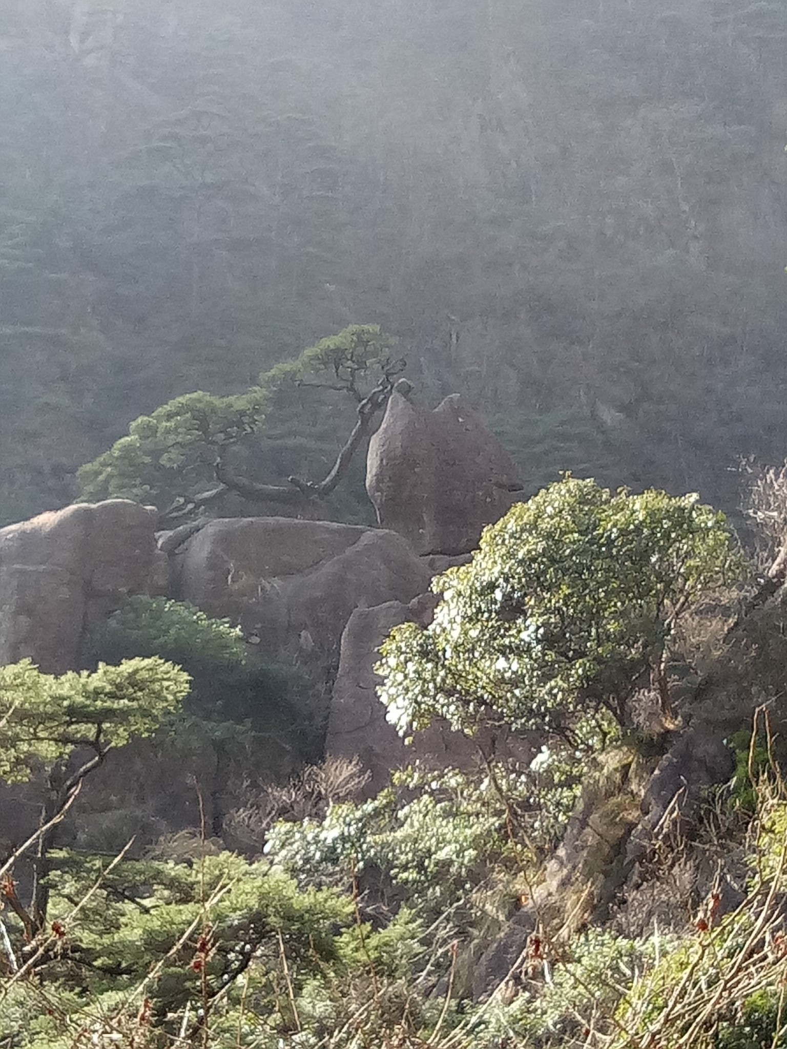 黃山自助遊攻略