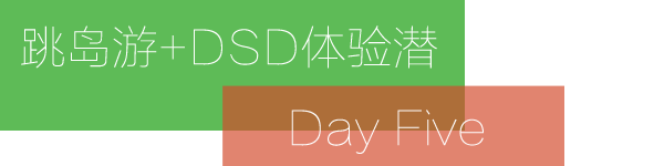 Day 5:跳岛游+DSD体验潜水 Day 5:跳岛游+DSD体验潜水