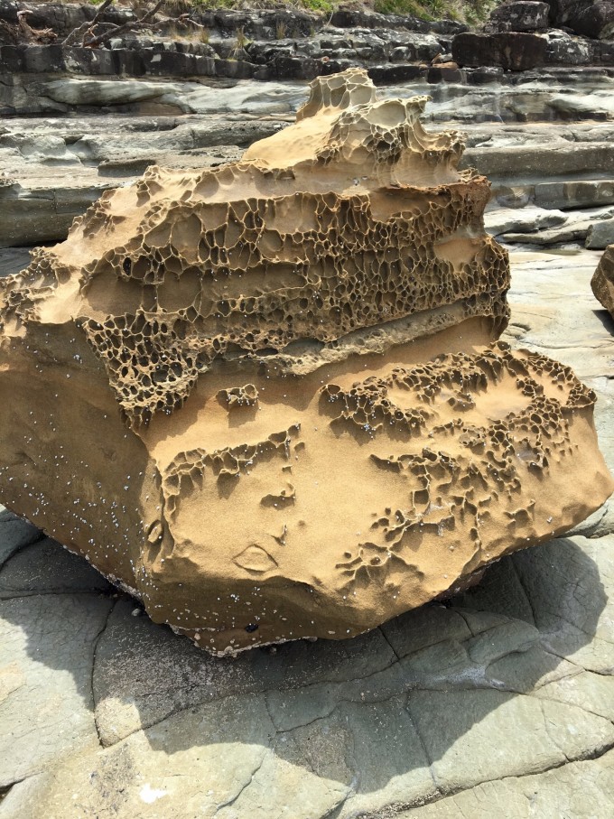 【二】澳大利亚篇之1.NSW[PhD学习&悉尼吃