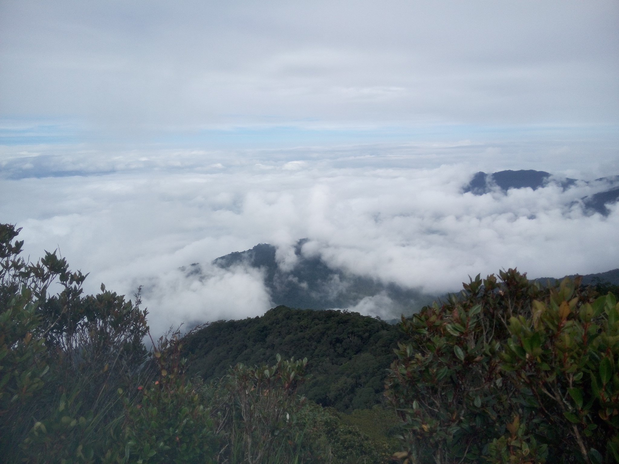 五指山人口有多少_五指山孙悟空