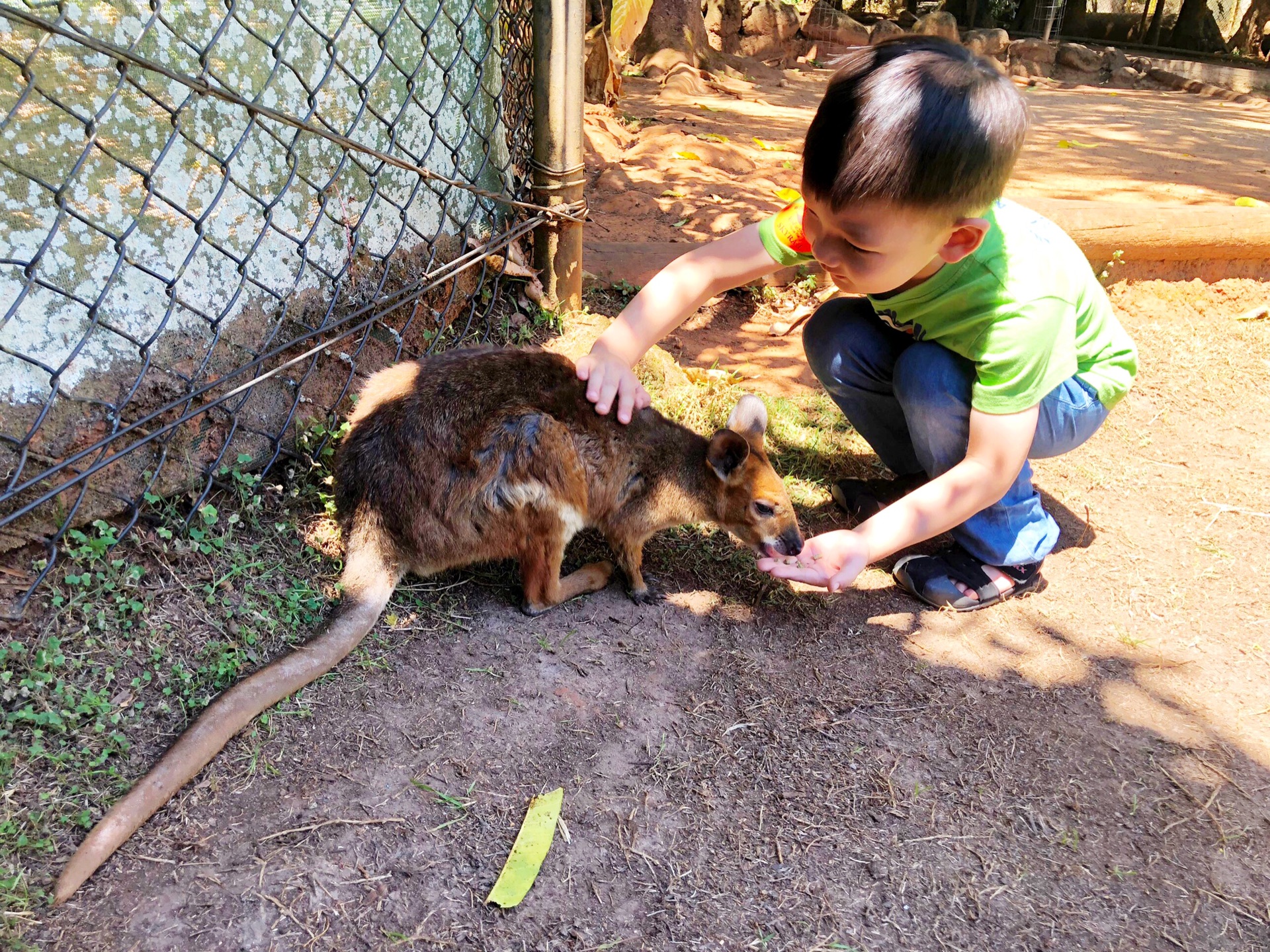 澳大利亞自助遊攻略