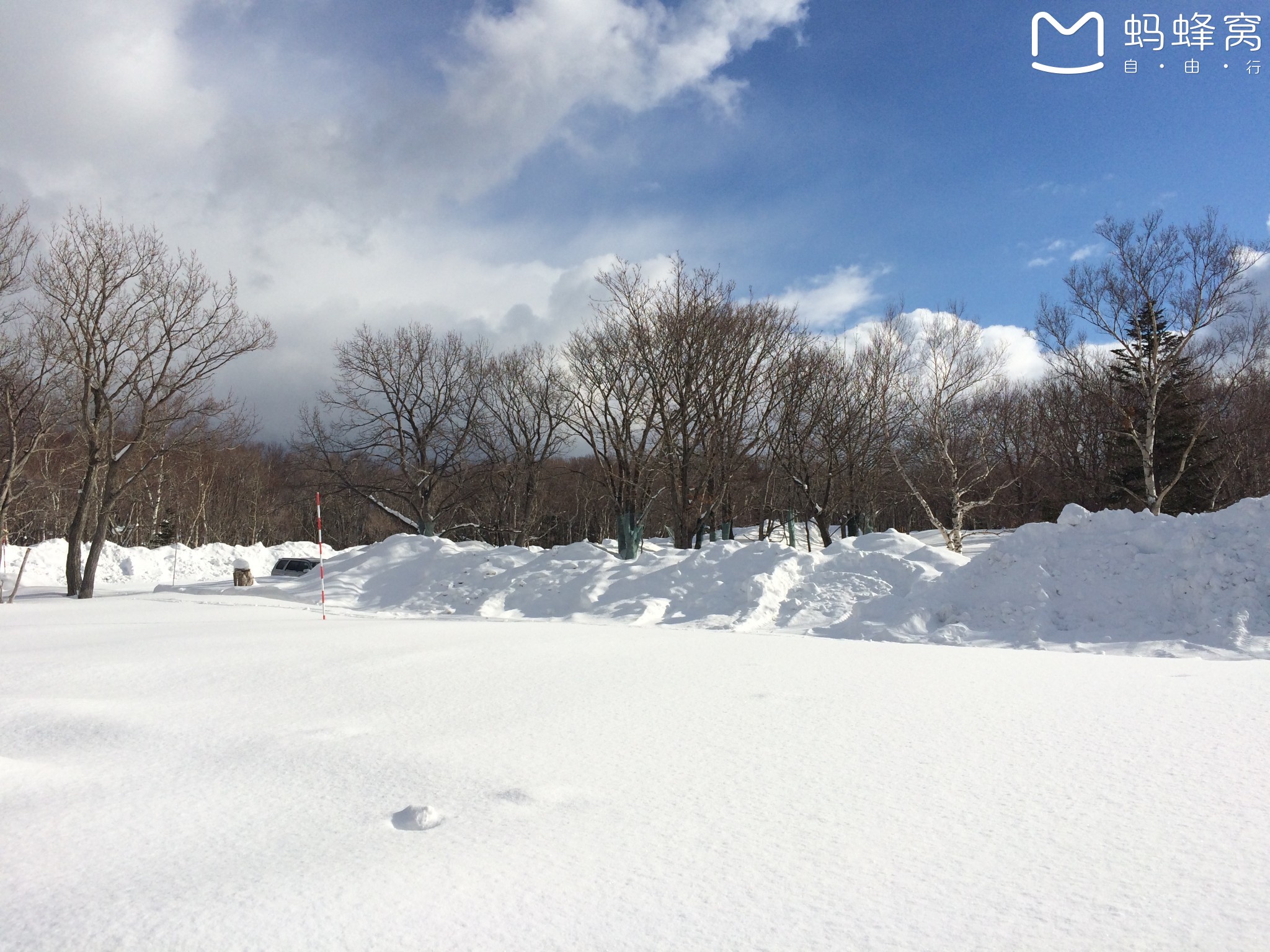 北海道自助遊攻略