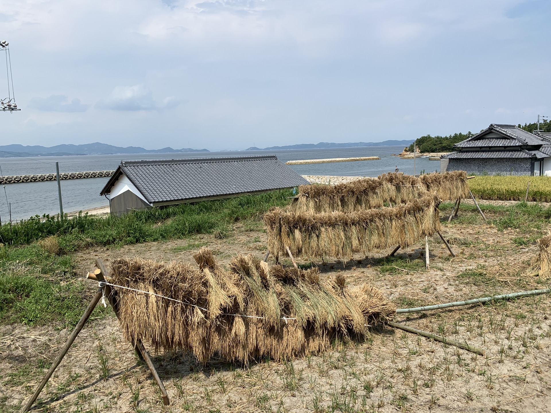 北海道自助遊攻略