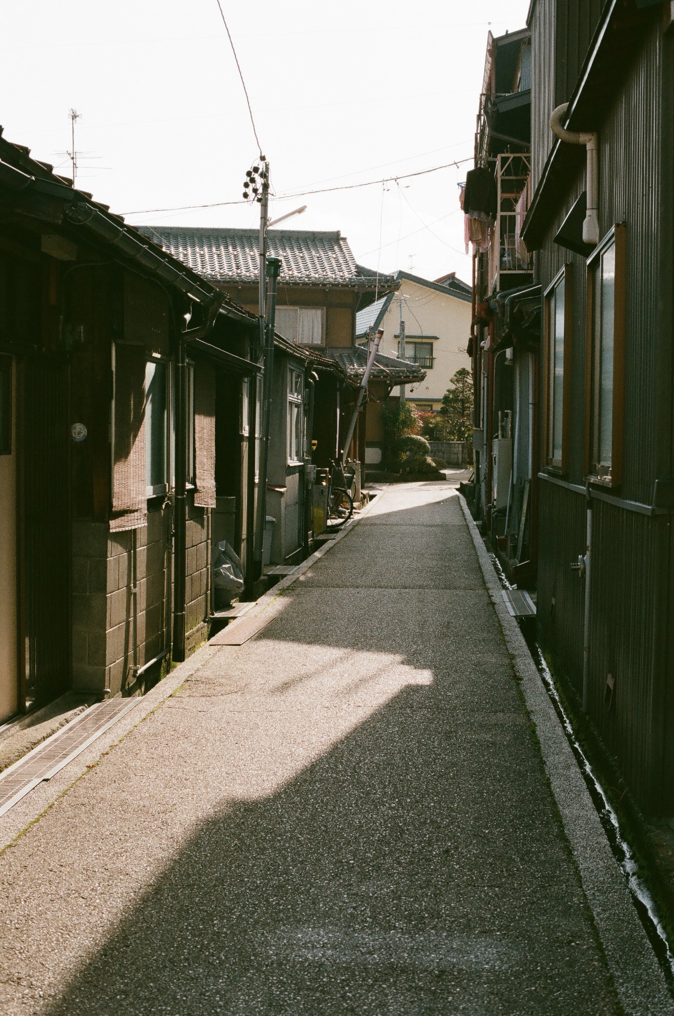 北海道自助遊攻略