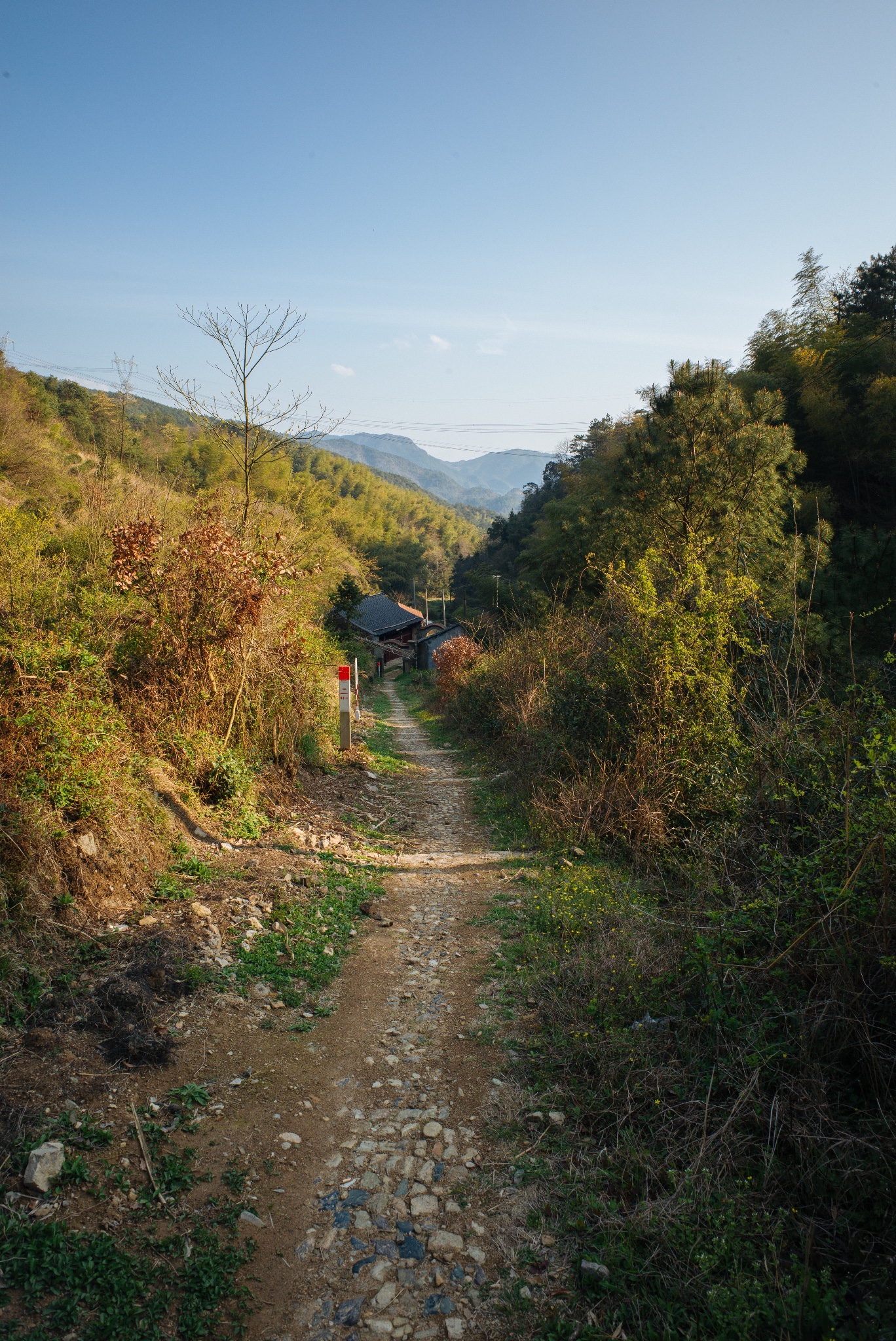 冷水坑村