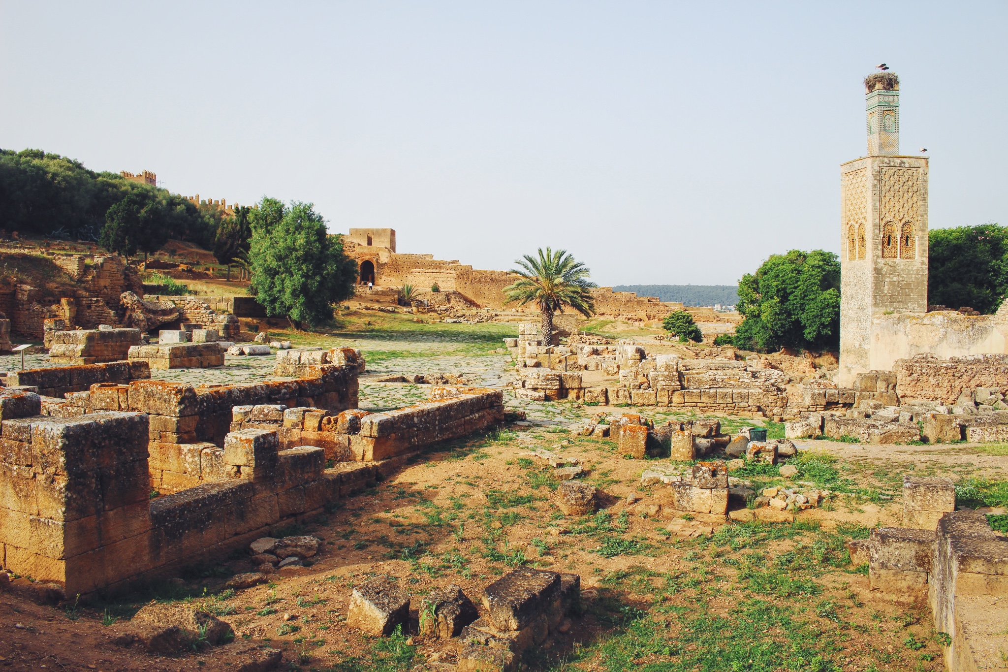 万 chefchaouene 非斯 fès 索维拉 essaouira 丹吉尔 tangier 艾西拉