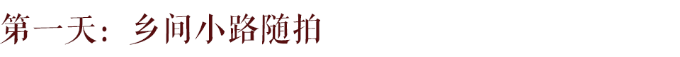 第一天:乡间小路随拍 第一天:乡间小路随拍